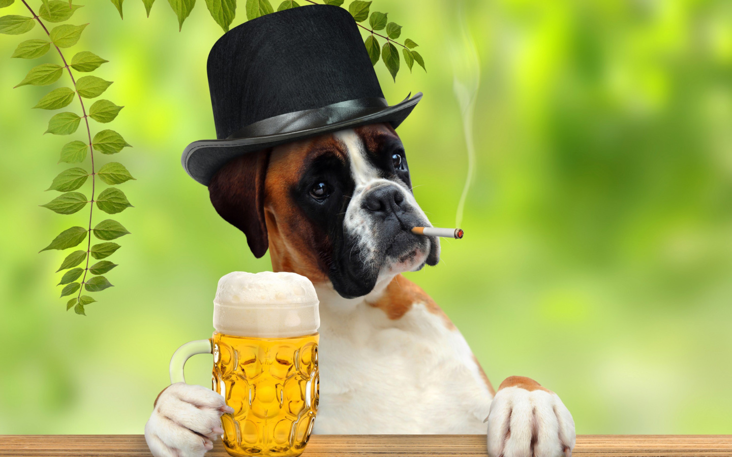 Das Dog drinking beer Wallpaper 1440x900