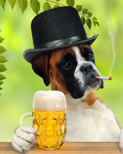 Обои Dog drinking beer 176x220