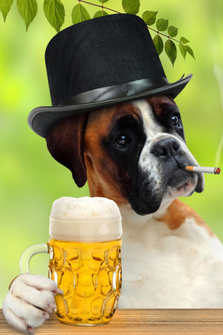 Das Dog drinking beer Wallpaper 320x480