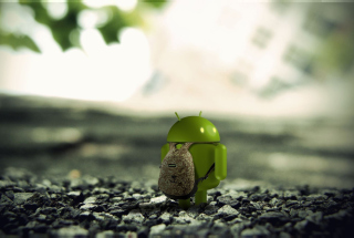 Android Wallpapers - Obrázkek zdarma pro Samsung Galaxy Grand 2