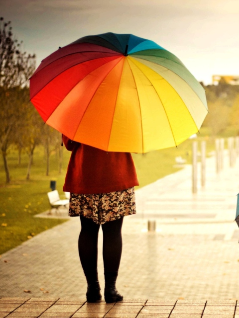 Обои Girl With Rainbow Umbrella 480x640