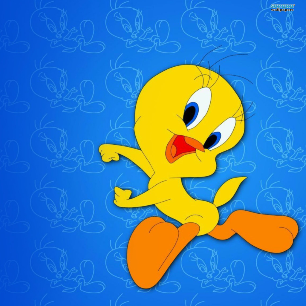 Обои Tweety Looney Tunes 1024x1024