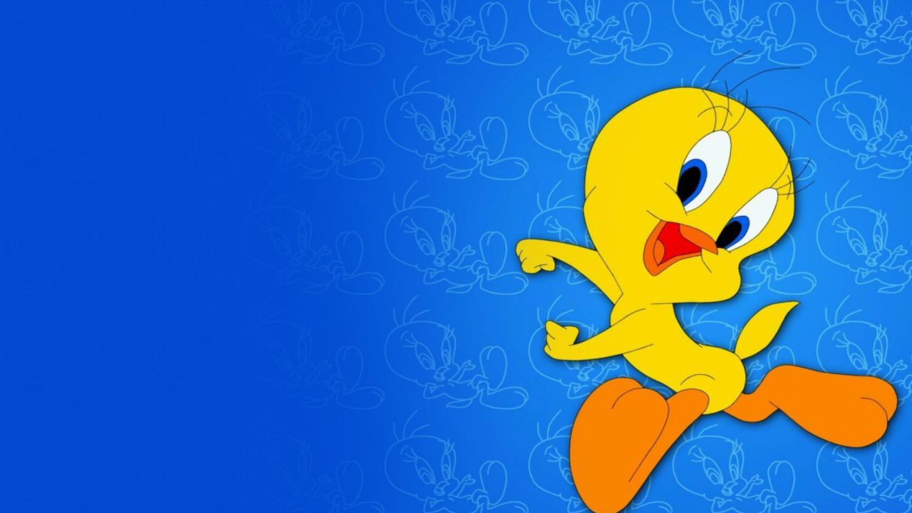 Обои Tweety Looney Tunes 1280x720