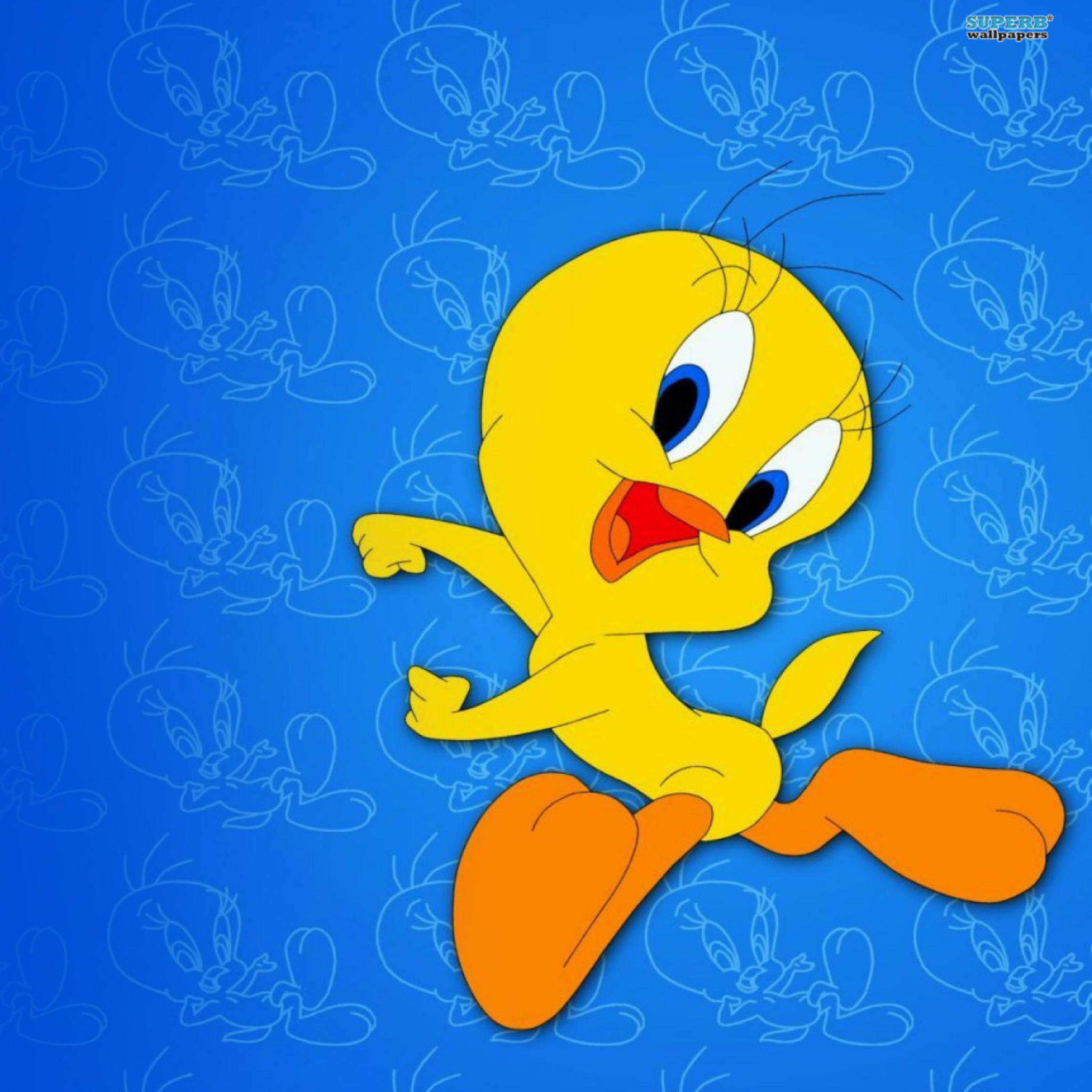 Fondo de pantalla Tweety Looney Tunes 2048x2048