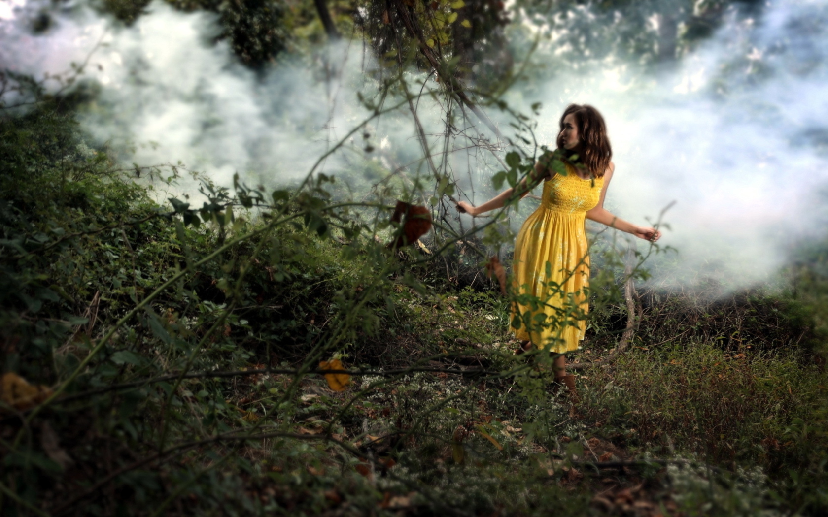 Обои Girl In Yellow Dress 1680x1050