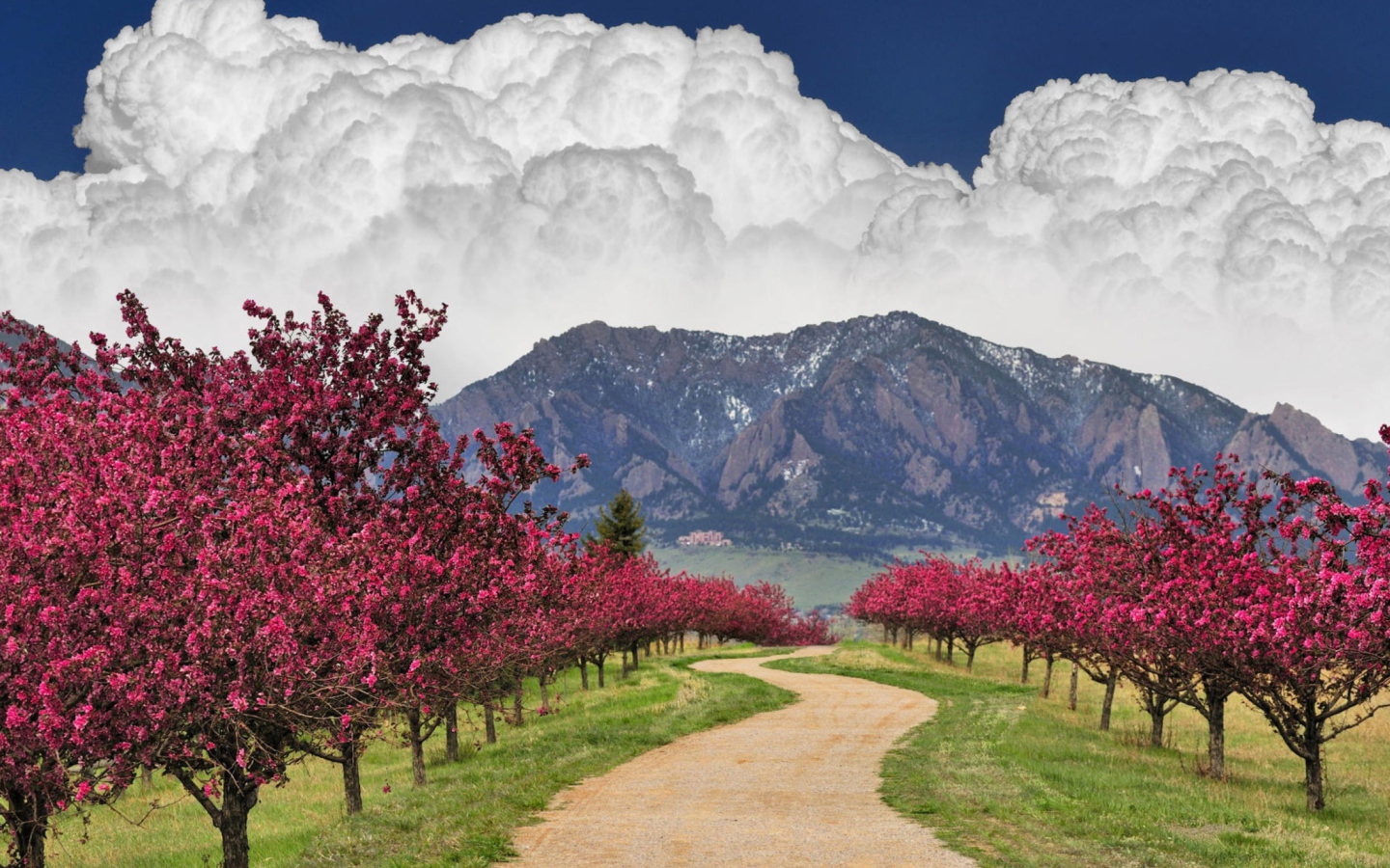 Blooming Orchard screenshot #1 1440x900