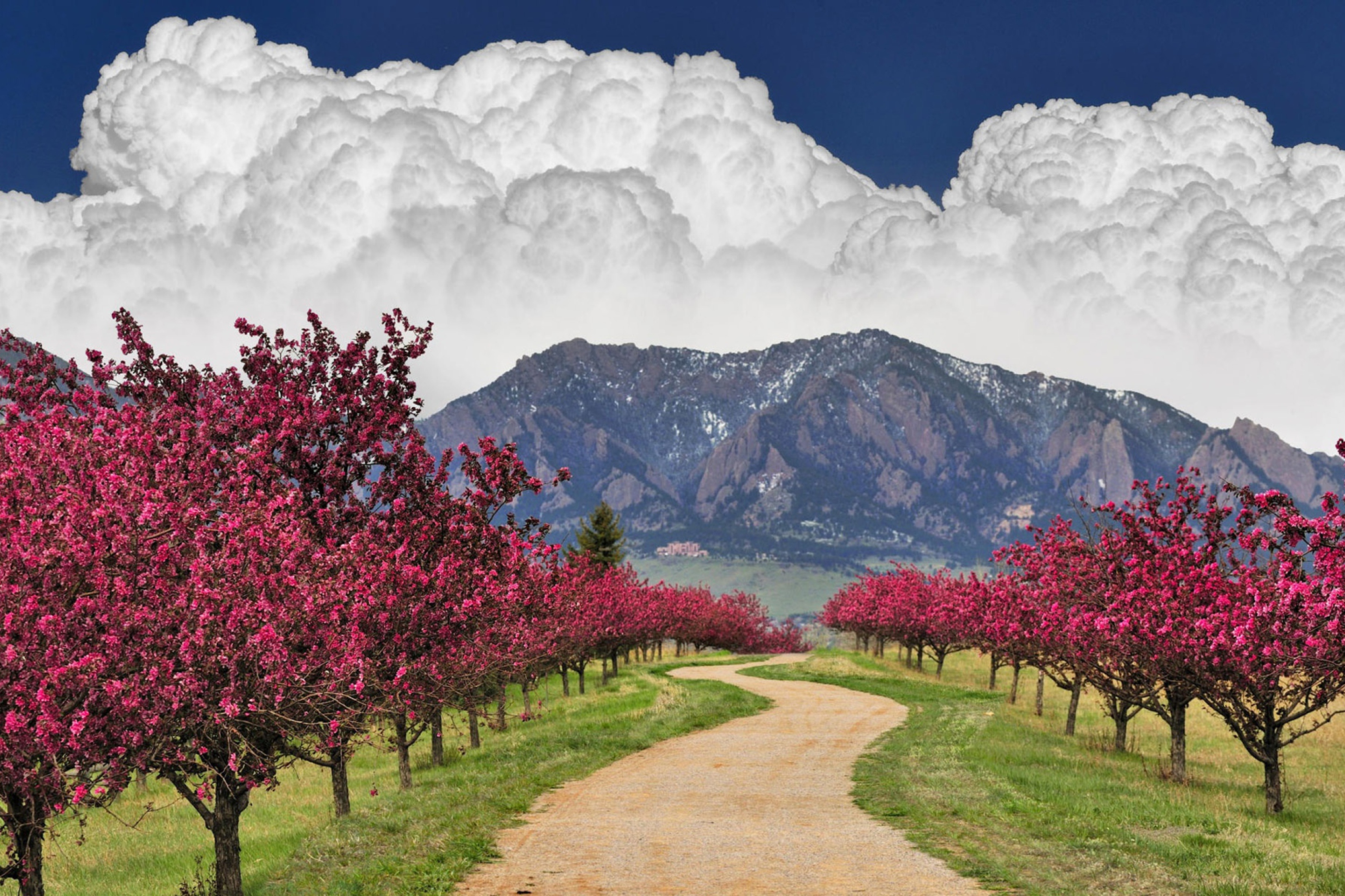 Blooming Orchard screenshot #1 2880x1920