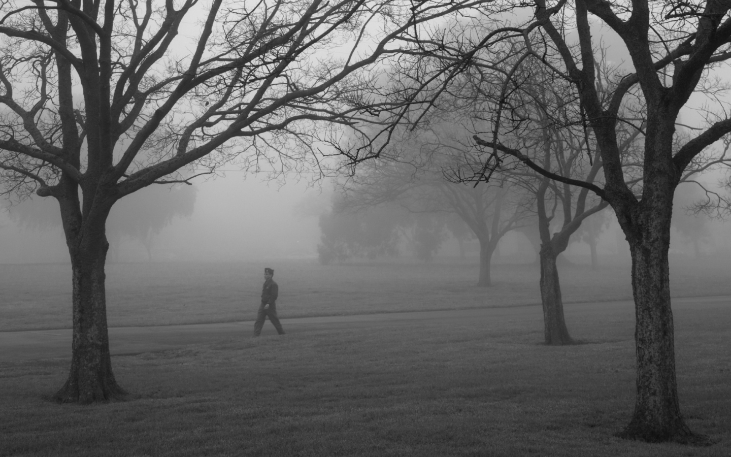 Screenshot №1 pro téma Winter Fog 1440x900