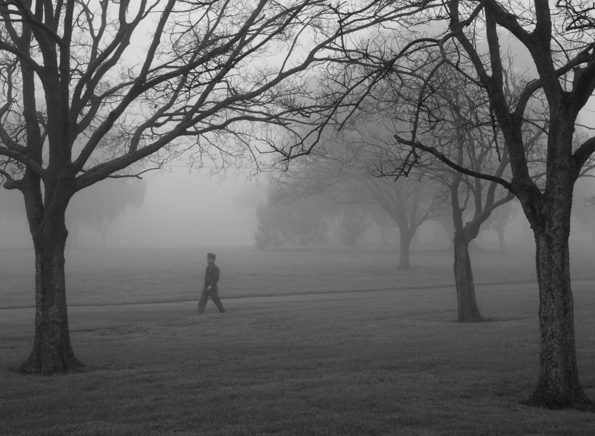 Sfondi Winter Fog 1920x1408