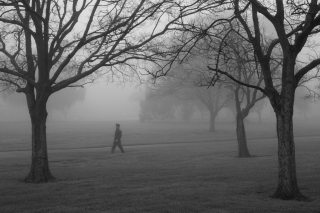 Winter Fog - Obrázkek zdarma 