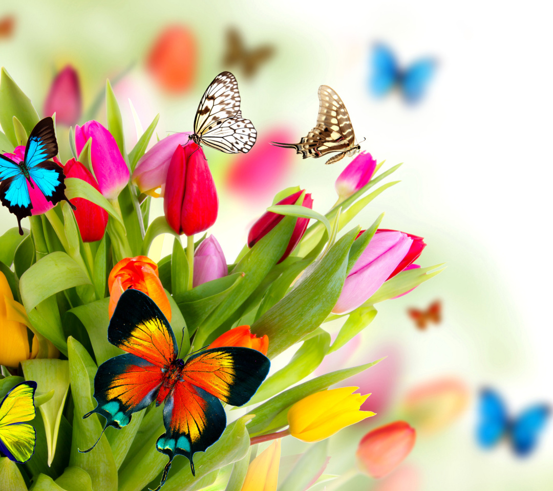 Fondo de pantalla Tulips and Butterflies 1080x960