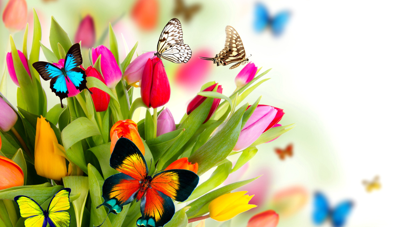 Обои Tulips and Butterflies 1366x768