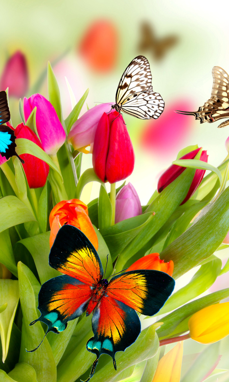 Fondo de pantalla Tulips and Butterflies 768x1280