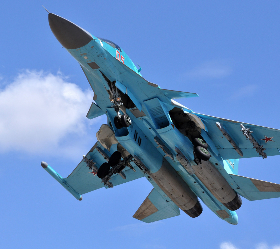 Screenshot №1 pro téma Sukhoi Su 34 Strike Fighter 1080x960