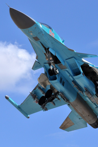 Screenshot №1 pro téma Sukhoi Su 34 Strike Fighter 320x480