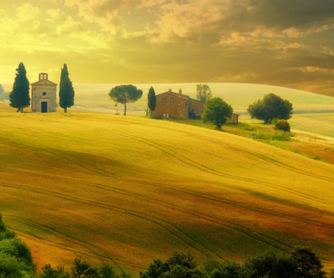 Tuscany - Discover Italy wallpaper 480x400