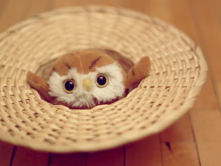 Das Cute Toy Owl Wallpaper 320x240