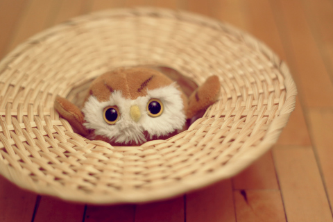Screenshot №1 pro téma Cute Toy Owl 480x320