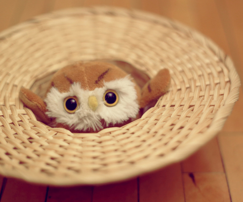Screenshot №1 pro téma Cute Toy Owl 480x400
