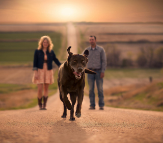 Happy Dog Run - Obrázkek zdarma pro 208x208