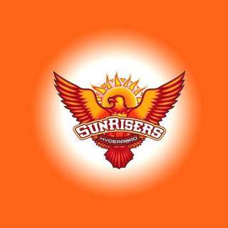Sunrisers Hyderabad IPL - Obrázkek zdarma pro 208x208
