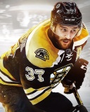 Das NHL Boston Bruins Wallpaper 128x160