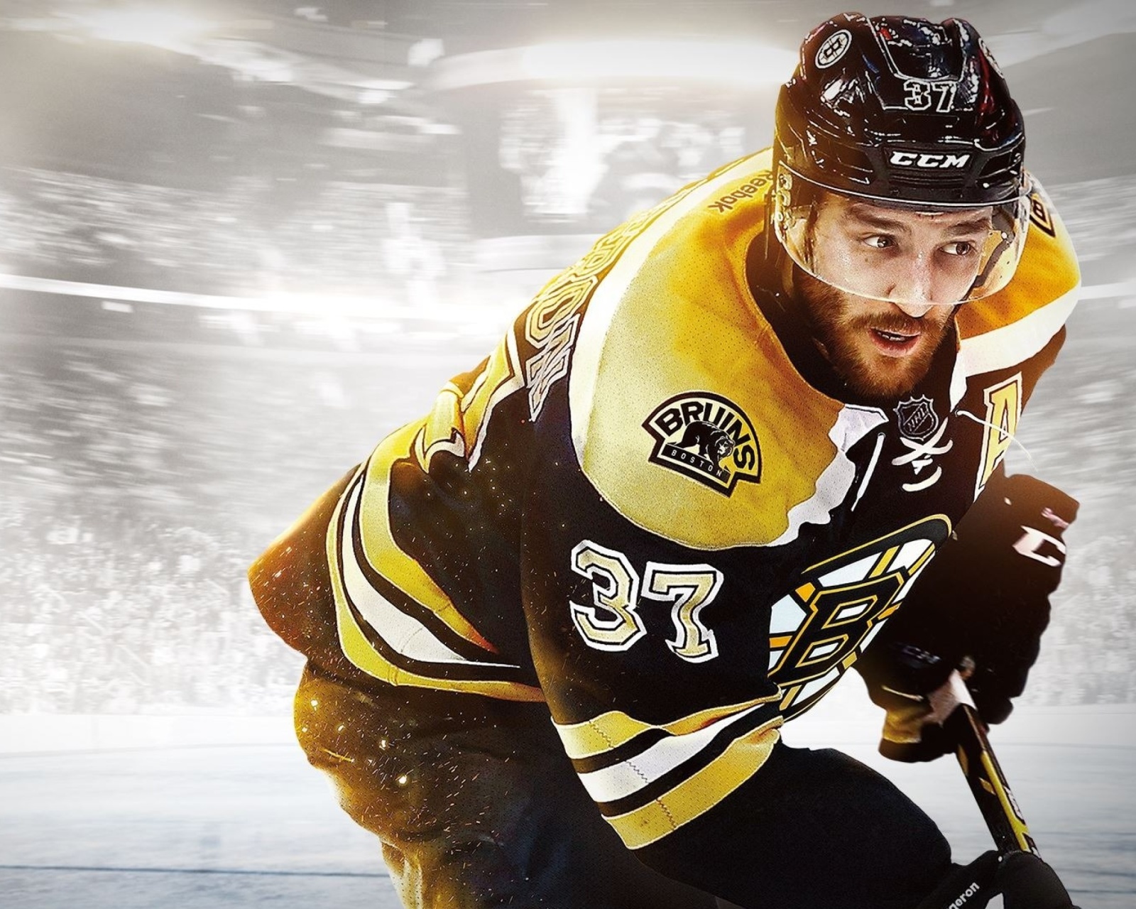 Обои NHL Boston Bruins 1600x1280