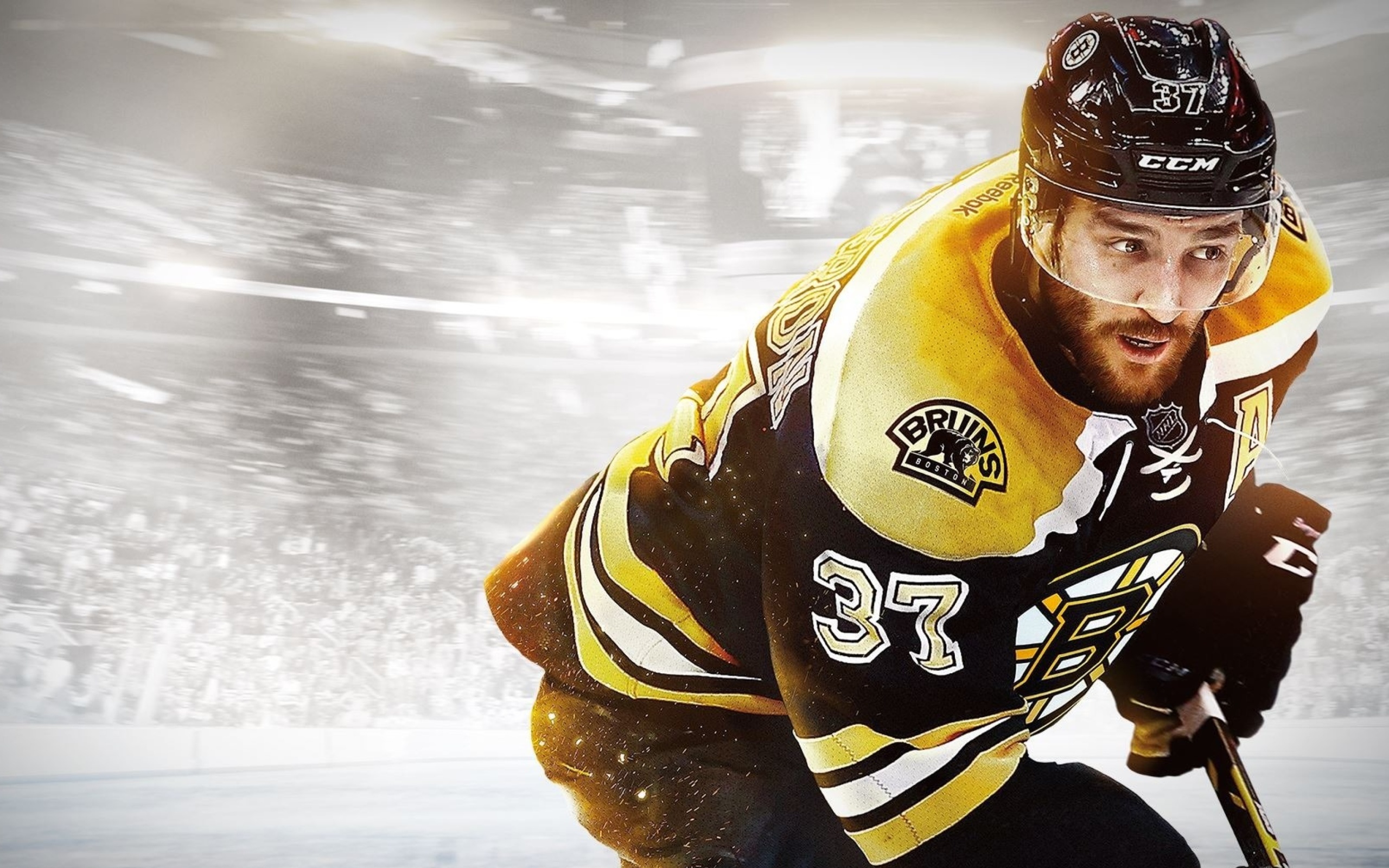 Обои NHL Boston Bruins 2560x1600