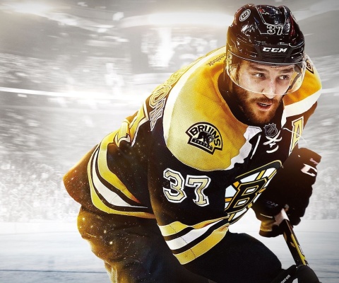 NHL Boston Bruins wallpaper 480x400