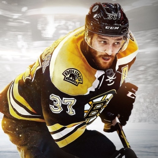 Free NHL Boston Bruins Picture for iPad Air