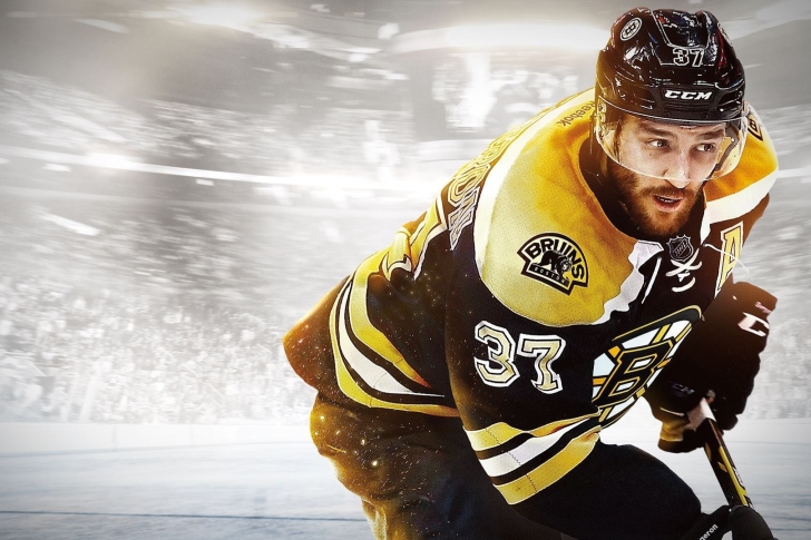 Screenshot №1 pro téma NHL Boston Bruins