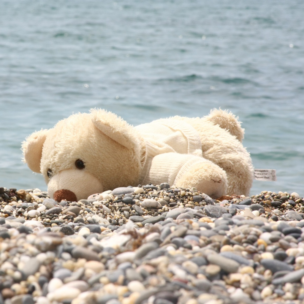 Screenshot №1 pro téma White Teddy Forgotten On Beach 1024x1024