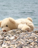 Das White Teddy Forgotten On Beach Wallpaper 128x160