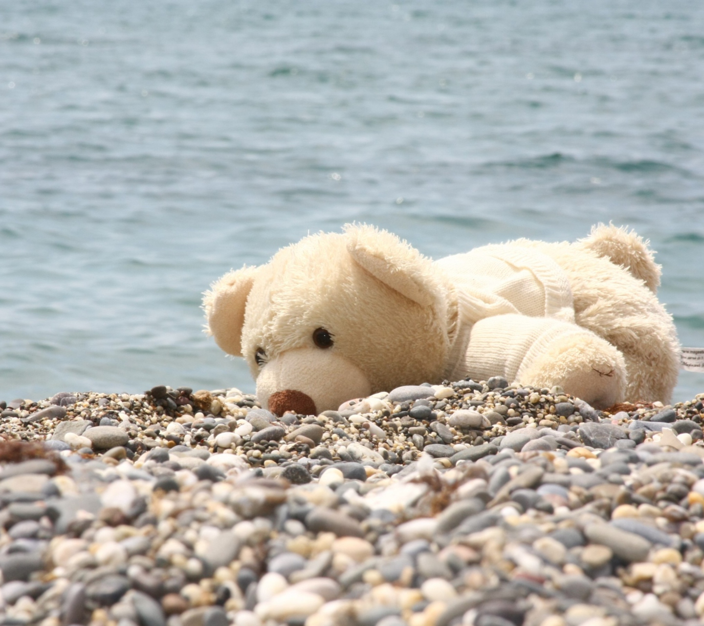 Screenshot №1 pro téma White Teddy Forgotten On Beach 1440x1280