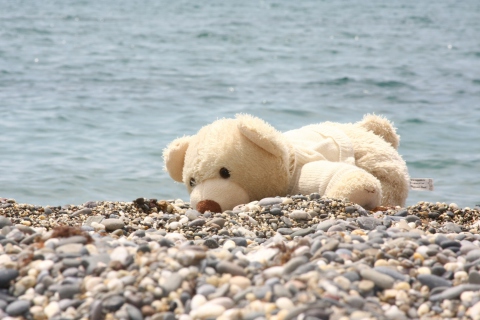 Обои White Teddy Forgotten On Beach 480x320
