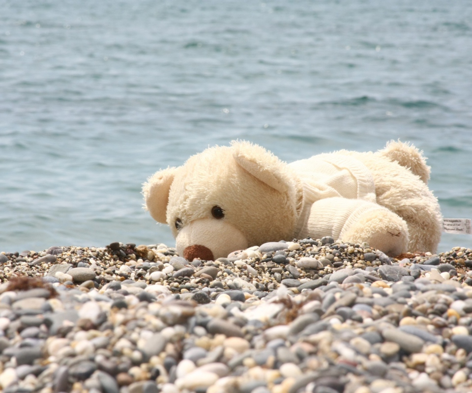 White Teddy Forgotten On Beach wallpaper 960x800