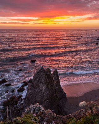 Seashore HD sfondi gratuiti per Nokia Lumia 925
