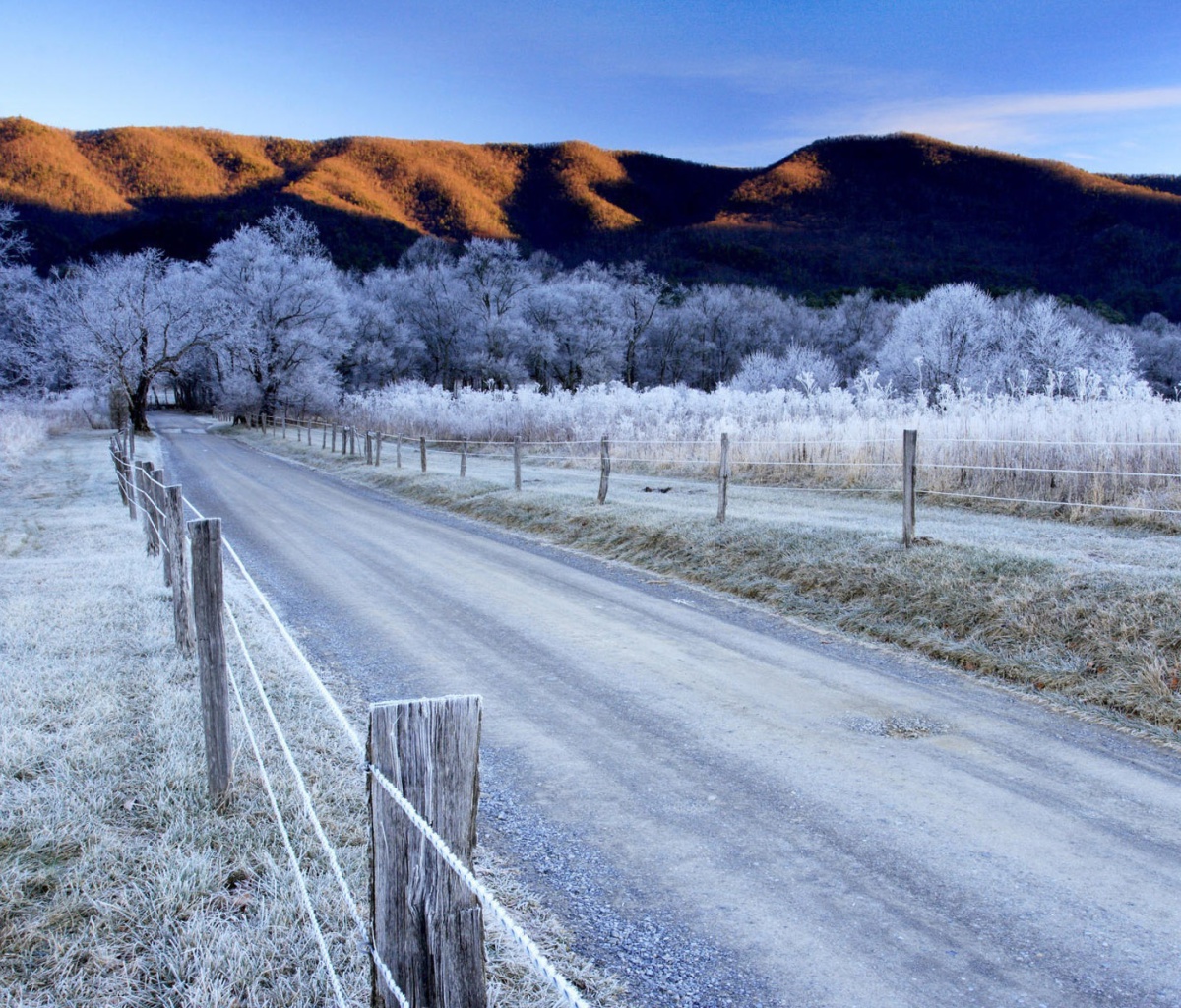 Das Canada Winter Landscape Wallpaper 1200x1024