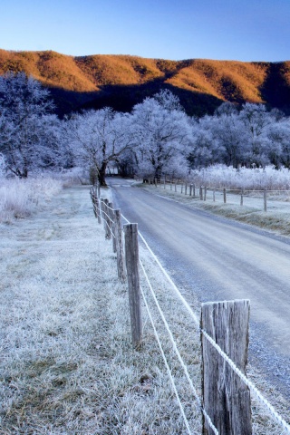 Screenshot №1 pro téma Canada Winter Landscape 320x480