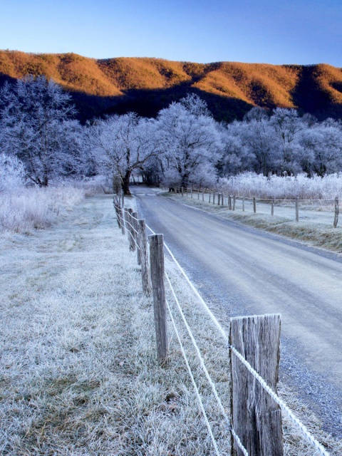 Canada Winter Landscape screenshot #1 480x640