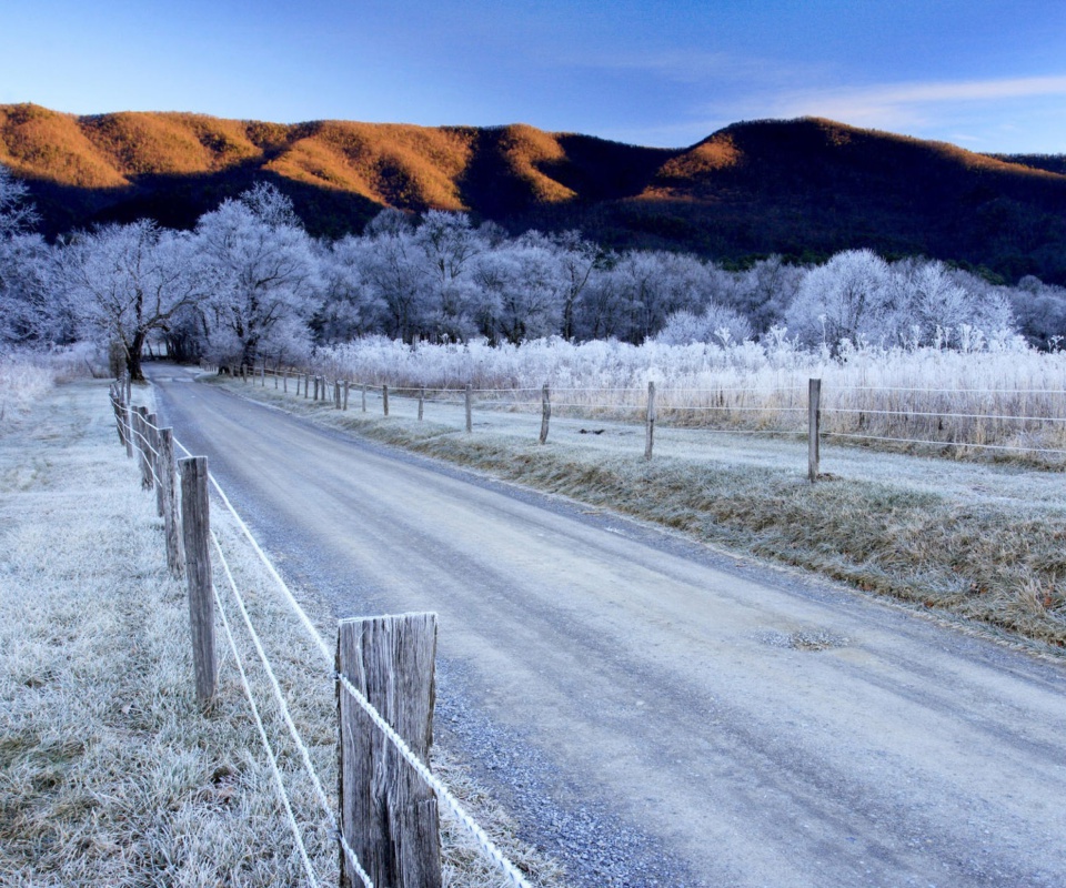 Sfondi Canada Winter Landscape 960x800