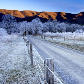 Canada Winter Landscape - Fondos de pantalla gratis para 1024x1024
