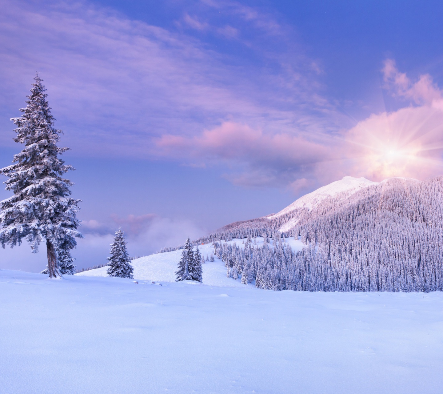 Screenshot №1 pro téma Mountain and Winter Landscape 1440x1280