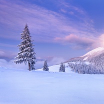 Screenshot №1 pro téma Mountain and Winter Landscape 208x208