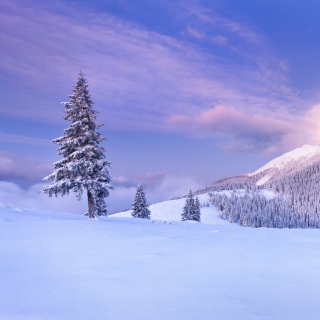 Mountain and Winter Landscape - Obrázkek zdarma pro 208x208