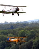 Fondo de pantalla Airplanes Over Green Forest 128x160