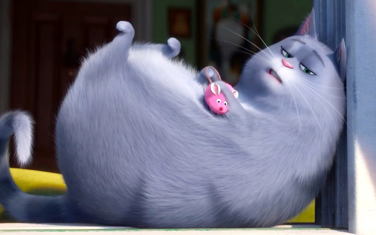 Screenshot №1 pro téma The Secret Life of Pets Chloe 1280x800