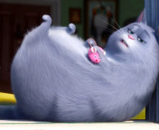 The Secret Life of Pets Chloe wallpaper 176x144