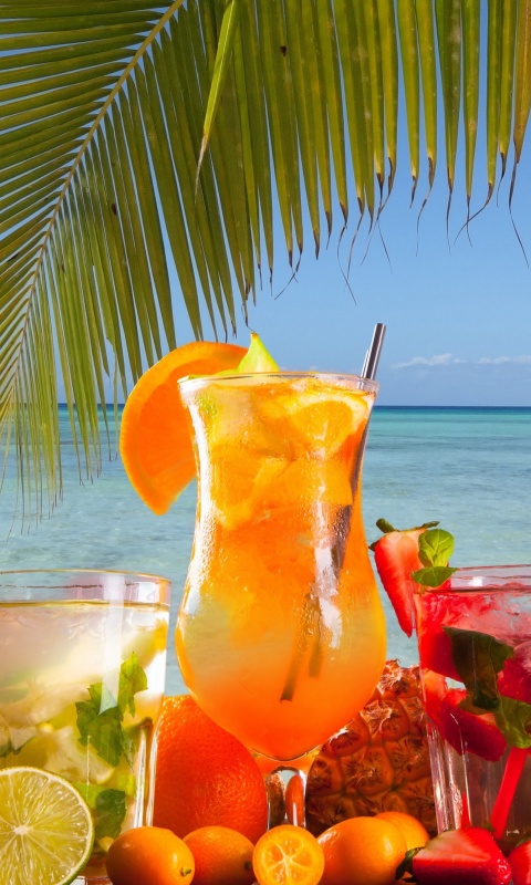 Das Summer Tropics Cocktail Wallpaper 480x800