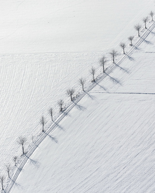 Winter Road - Obrázkek zdarma pro iPhone 6